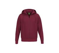 Erima Men's TS Sweat Hoodie Jacket (2072522) new bordeaux, L