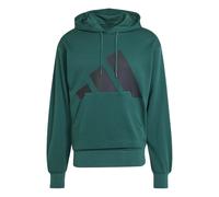 Hooded sweatshirt adidas Essentials Big Logo Vert S