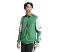 adidas Men's Squadra25 Hoody Sweatshirt, team green/white, XL