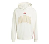 Adidas Stadium Graphic Hoodie White XS Man