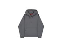 Hooded sweatshirt Alpha Industries DTM Gris L