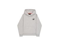 Hooded sweatshirt Alpha Industries Signature Gris M