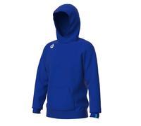 Hooded sweatshirt Arena Team Panel Bleu 2XL