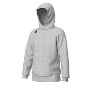 Hooded sweatshirt Arena Team Panel Gris 2XL