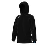 Hooded sweatshirt Arena Team Panel Noir XL