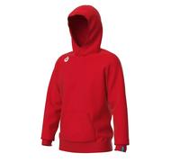 Hooded sweatshirt Arena Team Panel Rouge S