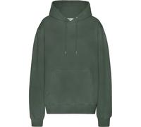 Hooded sweatshirt Colorful Standard Classic Organic Midnight Forest Vert M