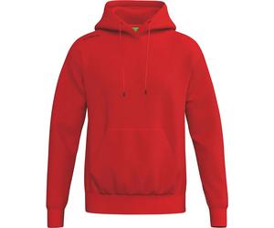 Hooded sweatshirt cotton child Erima TS 10 ans