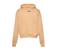 Hooded sweatshirt Dangerous DNGRS Brave Beige 2XL