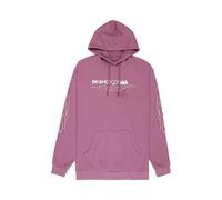 Hooded Sweatshirt DC Shoes Side Flame Violet M