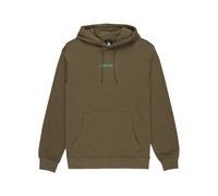 Hooded sweatshirt Element Lowcase BP PO Vert S