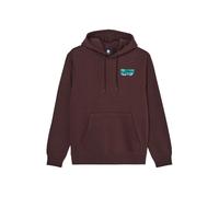 Hooded Sweatshirt Element Torn PO Marron S