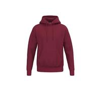 Hooded sweatshirt Erima TS 3XL