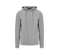 Hooded sweatshirt Just Cool Cool Urban Gris L
