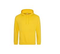 Hooded sweatshirt Just Hoods College Doré L