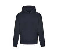 AWDis Unisex Adult Signature Heavyweight Hoodie (XL) (Natural Stone)