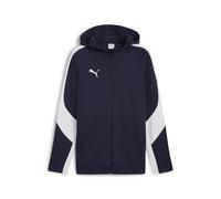 Hooded sweatshirt Puma Team Evostripe Blue XL