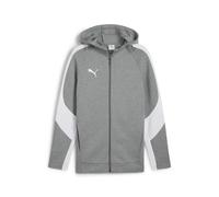 Hooded sweatshirt Puma TeamEvostripe Gris XS