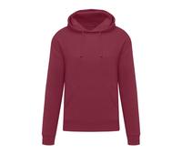 Hooded Sweatshirt SG Originals Originals Rouge 2XL