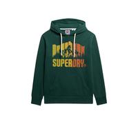 Hooded sweatshirt Superdry Mountain Rainbow Vert L