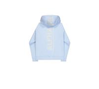 Hooded sweatshirt with print on the back Alpha Industries Bleu M