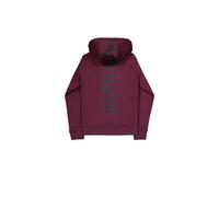 Alpha Industries Back Print Hoody Hoodie - Dark Cherry