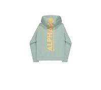 Hooded sweatshirt with print on the back Alpha Industries Vert M
