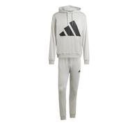 Hoodie adidas Big Logo Gris XS