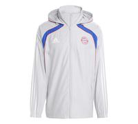 Hoodie Bayern Munich Ubp Wb Tmlggr 2024/25 Gris S