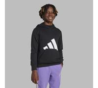adidas Unisex Kids ESSENTIALS BIG LOGO HOODIE, Black/White, 11-12 Years