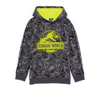 Hoodie Jurassic World Grey 3-4 Years