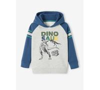 Hoodie with Graphic Motif & Raglan Sleeves for Boys blue medium solid with design