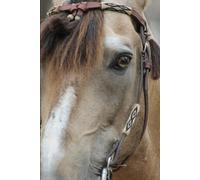Hoofprints To My Soul. Horseback Riding Journal / Diary