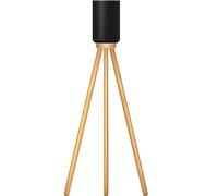 HOOKMEMO Compatible for sonos era100 and Echo 4th Gen, and Other smart Speaker Wood Stand