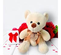 Hoolaroo Personalised Valentines Bear with Custom Wooden Heart - Personalised Teddy Bears For Girls and Boys Fist From Baby Get Well Soon Teddy Thank You Teddy