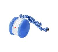 HOOLRZI Identity Play Pet Toy Sphere Participatory Strong Rope Appendage Pace Motion Started Indoor Rechargeable Pace Sphere