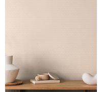 Hoopla Walls Ditsy Diamond - Blush 10m Wallpaper