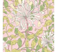 Hoopla Walls Honeysuckle Leaf Trail Soft Pink Smooth Matt Wallpaper