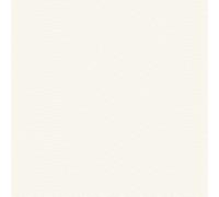 Hoopla Walls Wallpaper Ditsy Deco Fan HWA1267W