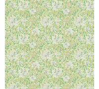 Hoopla Walls Wallpaper Honeysuckle Leaf Trail HWA1077W