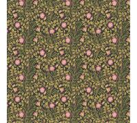 Hoopla Walls Wallpaper Rosehip Trail HWA1095W