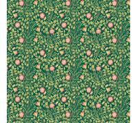 Hoopla Walls Wallpaper Rosehip Trail HWA1096W