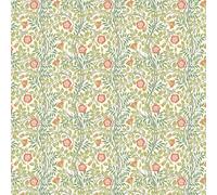 Hoopla Walls Wallpaper Rosehip Trail HWA1098W