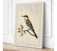 Hoopoe on Branch Botanical Canvas Wall Art Print 24x16 Inch