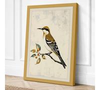 Hoopoe on Branch Botanical Canvas Wall Art Print 30x20 Inch