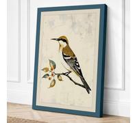 Hoopoe on Branch Botanical Canvas Wall Art Print 30x20 Inch | Teal