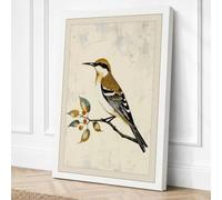 Hoopoe on Branch Botanical Canvas Wall Art Print 36x24 Inch