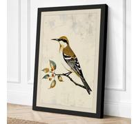 Hoopoe on Branch Botanical Canvas Wall Art Print 36x24 Inch