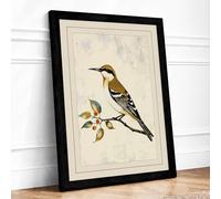 Hoopoe on Branch Botanical Framed Wall Art Print A1 (84.1×59.4cm) Black, Wall Decor for Living Room, Bedroom, Office & Home, Ready to Hang, Art Gift