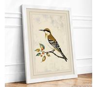 Hoopoe on Branch Botanical Framed Wall Art Print A1 (84.1×59.4cm) White, Wall Decor for Living Room, Bedroom, Office & Home, Ready to Hang, Art Gift